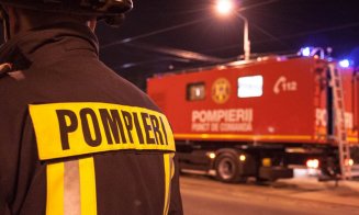 Incendiu de vegetaţie în Hoia, stins după 6 ore