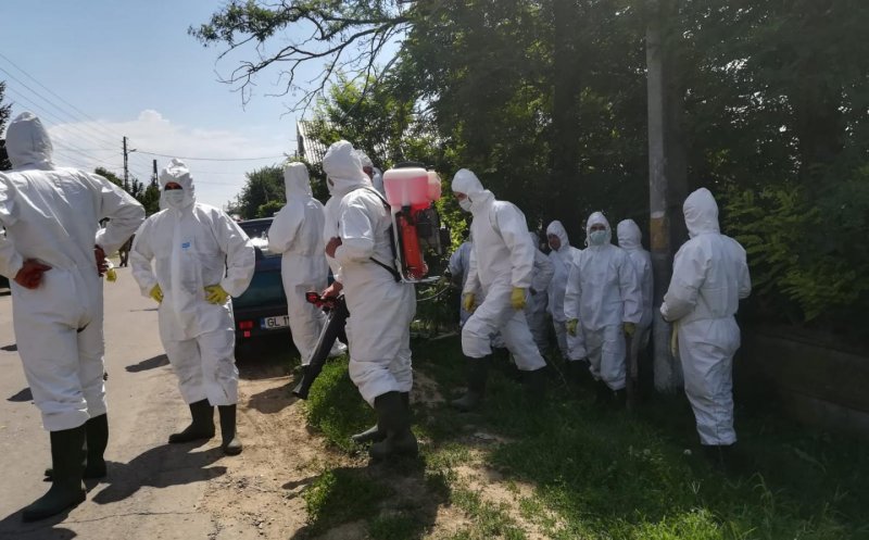 Alertă! Focare noi de pestă porcină, într-un judeţ vecin Clujului
