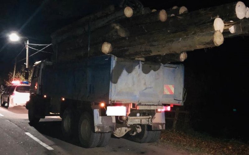 Lemn de 5.000 de lei, confiscat de poliţiştii din Cluj