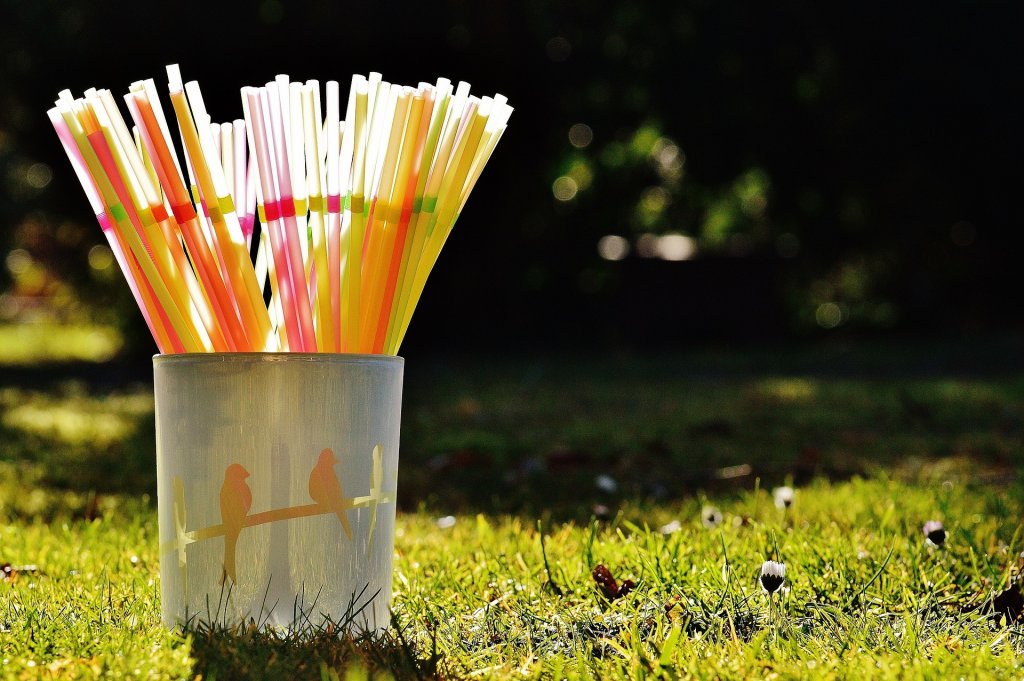 Adio paie, farfurii și tacâmuri de unică folosință! UE declară "război" plasticului