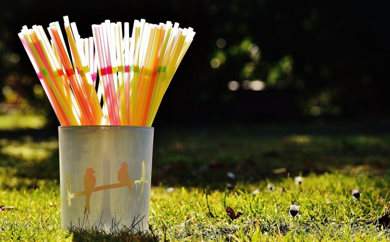 Adio paie, farfurii și tacâmuri de unică folosință! UE declară "război" plasticului