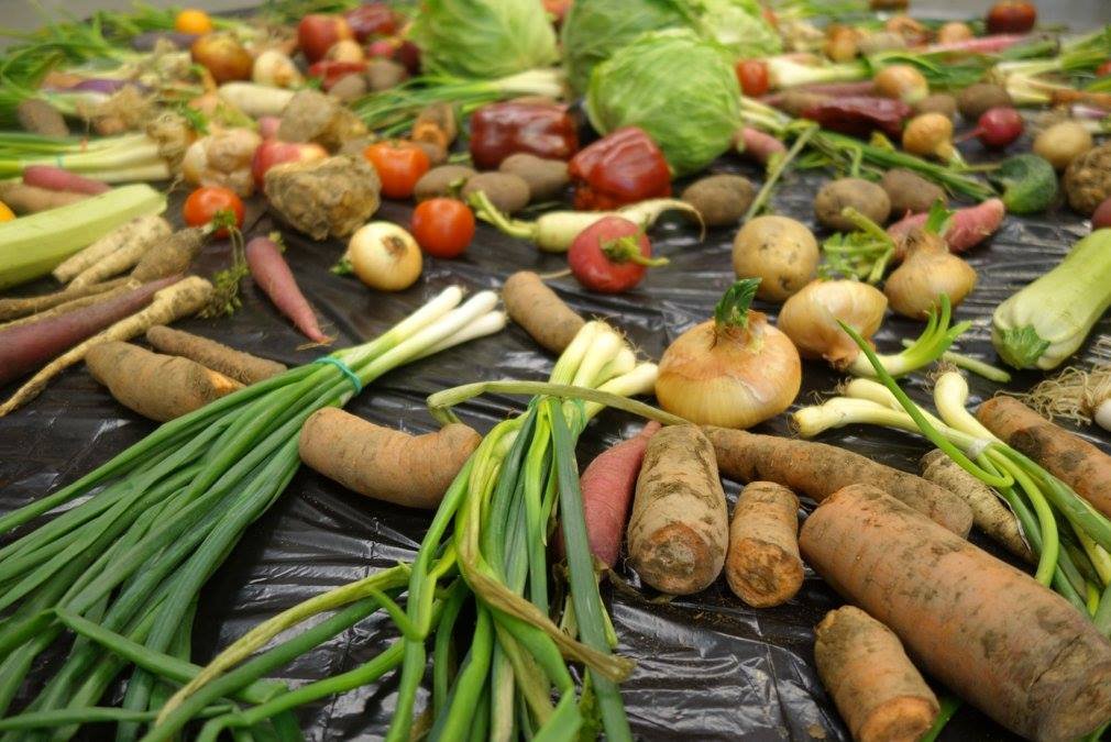 Românii arunca 6.000 de tone de mâncare pe zi.  La Cluj s-a deschis prima bancă de alimente! Ce produse şi cum poţi dona