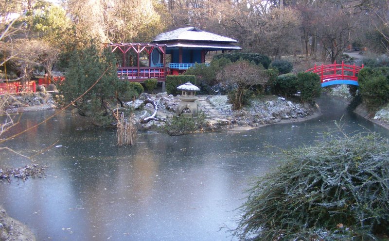 Natura se pregătește de iarnă la Grădina Botanică