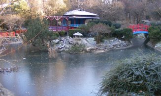 Natura se pregătește de iarnă la Grădina Botanică