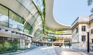 Clujenii de la Morphoza vor amenaja birourile liderului mondial în consultanță imobiliară