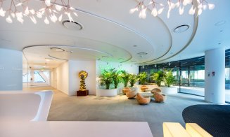 Clujenii de la Morphoza vor amenaja birourile liderului mondial în consultanță imobiliară
