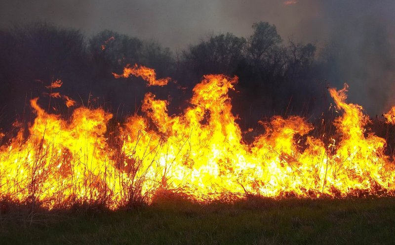 INCENDIU de proporţii lângă Cluj. Focul a mistuit 20 de ha de vegetaţie uscată