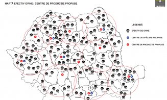Clujul vrea să revoluționeze industria construcțiilor. Alege oaia, varianta imobiliară