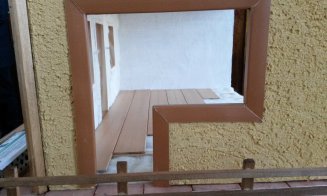 Clujul vrea să revoluționeze industria construcțiilor. Alege oaia, varianta imobiliară