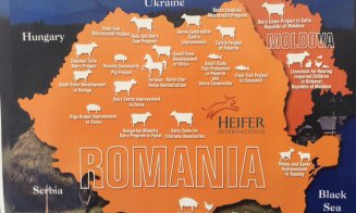 Bucovina invadează birourile Clujului. Poale-n brâu și păstrăv afumat pentru IT-ști