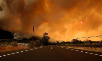 Arde California! Focul a ucis 31 de persoane şi se apropie de Malibu, Los Angeles