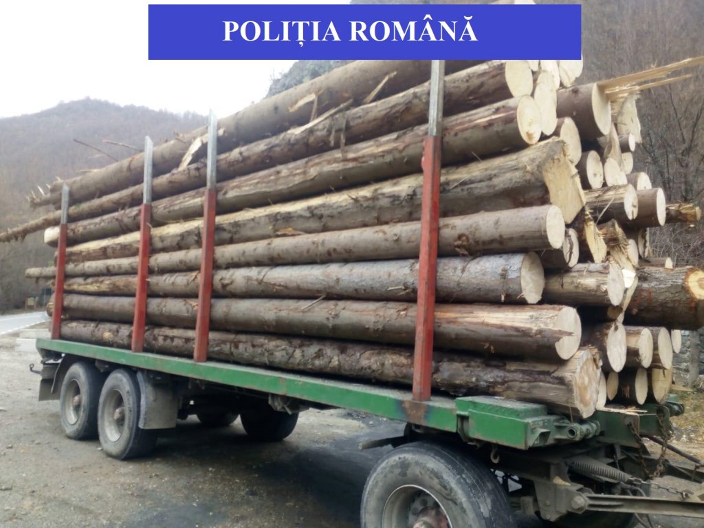 Defrişările ilegale continuă la Cluj. Doi bărbaţi au fost reţinuţi
