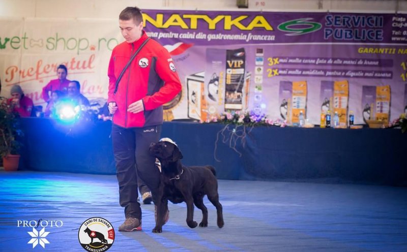 Eveniment caritabil cu câini de salvare la Cluj. Să ajutăm un tânăr salvator care se luptă cu cancerul