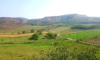 Carte cu rețe tradiționale din Sic, scoasă de Profi în 85.000 de exemplare