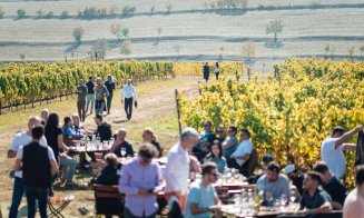 Vinurile Clujului au intrat în catalogul Gault & Millau
