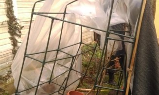 Deler de droguri, reţinut la Cluj. Vindea cannabis, MDMA şi LSD în club