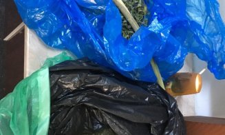Deler de droguri, reţinut la Cluj. Vindea cannabis, MDMA şi LSD în club