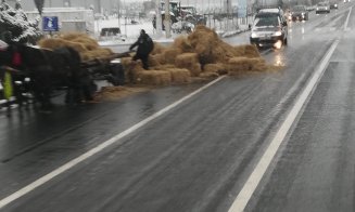 Accident tragicomic pe o stradă din Cluj. S-au răsturnat baloții dintr-o căruță