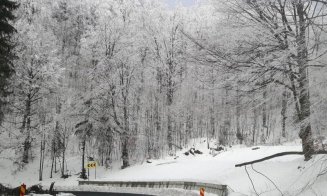 Vremea rea continuă în toată țara. COD GALBEN de ninsori, la Cluj