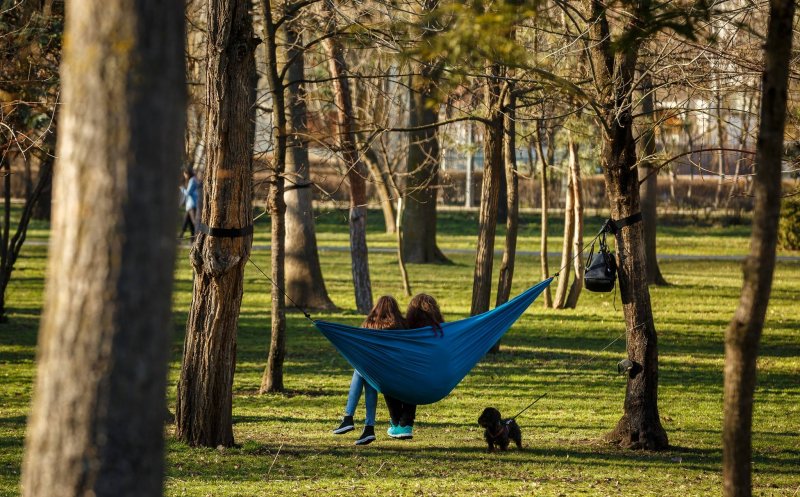 Cel mai mare parc al Clujului costă 4,9 milioane de euro. Boc vrea bani de la UE + Proiecte pentru Feroviarilor, Armătura şi Între Lacuri