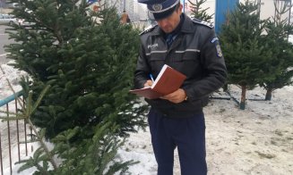 Traficul cu pomi de Crăciun e în toi. Sute de brazi confiscaţi