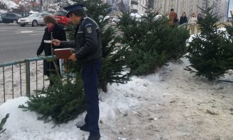 Traficul cu pomi de Crăciun e în toi. Sute de brazi confiscaţi