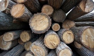 ANUNT PUBLICITAR ​​REGIA NAŢIONALĂ A PĂDURILOR – ROMSILVA