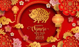 HOROSCOP chinezesc 2019. Cum ne va influența Mistreţul de Pământ