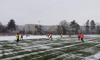Poza noua 10.01.2019