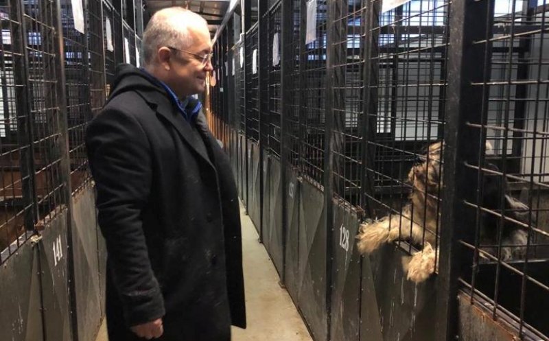La Cluj câinii nu umblă cu covrigi în coadă, dar sunt vizitați de primar. Boc, alături de animalele fără stăpân