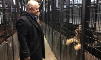 La Cluj câinii nu umblă cu covrigi în coadă, dar sunt vizitați de primar. Boc, alături de animalele fără stăpân