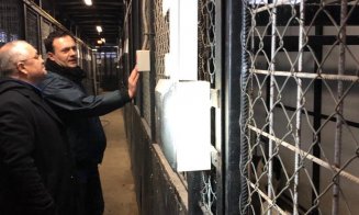 La Cluj câinii nu umblă cu covrigi în coadă, dar sunt vizitați de primar. Boc, alături de câinii fără stăpân