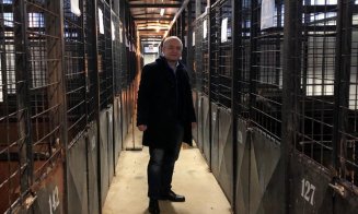 La Cluj câinii nu umblă cu covrigi în coadă, dar sunt vizitați de primar. Boc, alături de câinii fără stăpân
