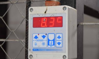La Cluj câinii nu umblă cu covrigi în coadă, dar sunt vizitați de primar. Boc, alături de câinii fără stăpân