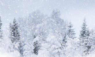 Cod Portocaliu de ninsori şi viscol în zone montane din Transilvania
