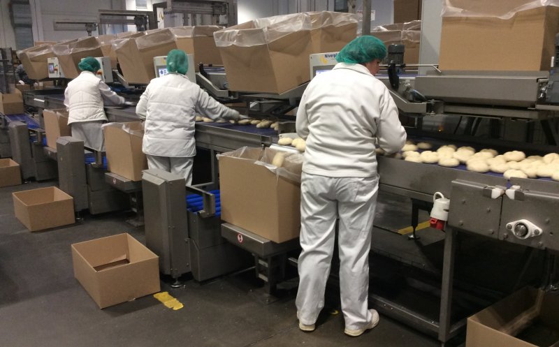 Clujul va avea cea mai modernă fabrică de pâine din Europa. Investiții de 50 milioane euro