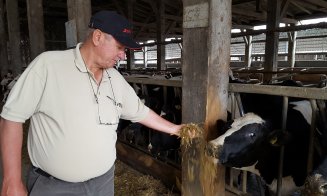 Un producător de lactate din Ialomița atacă piața Clujului cu bani de la Banca Transilvania