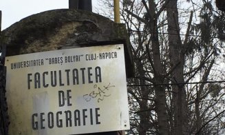 Clujeni, sesizare împotriva  mutilării  arborilor din Hasdeu "toaletaţi" cu drujba