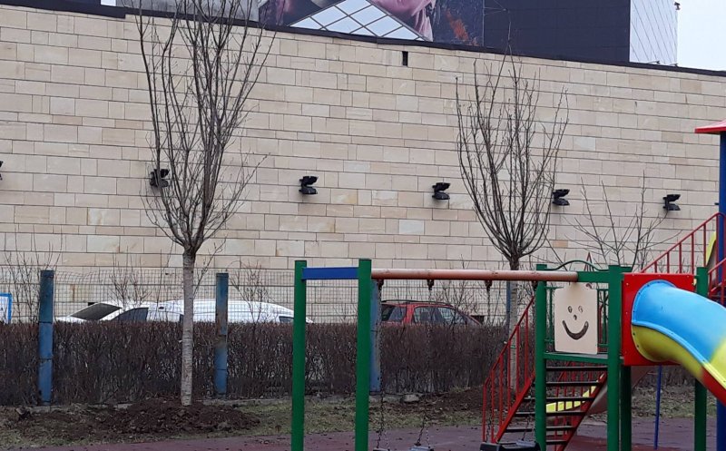 Înverzeşte Clujul. Plantări de gard viu la scările de bloc şi arbori pe străzi, dar şi în curţile şcolilor şi grădiniţelor