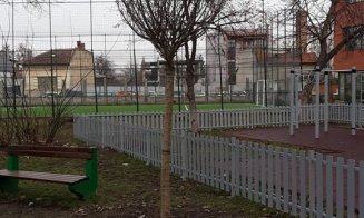 Înverzeşte Clujul. Plantări de gard viu la scările de bloc şi arbori pe străzi, dar şi în curţile şcolilor şi grădiniţelor