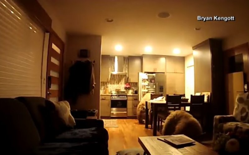S-au trezit cu doi urşi în casă. Animalele s-au servit singure din frigider | VIDEO