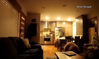 S-au trezit cu doi urşi în casă. Animalele s-au servit singure din frigider | VIDEO