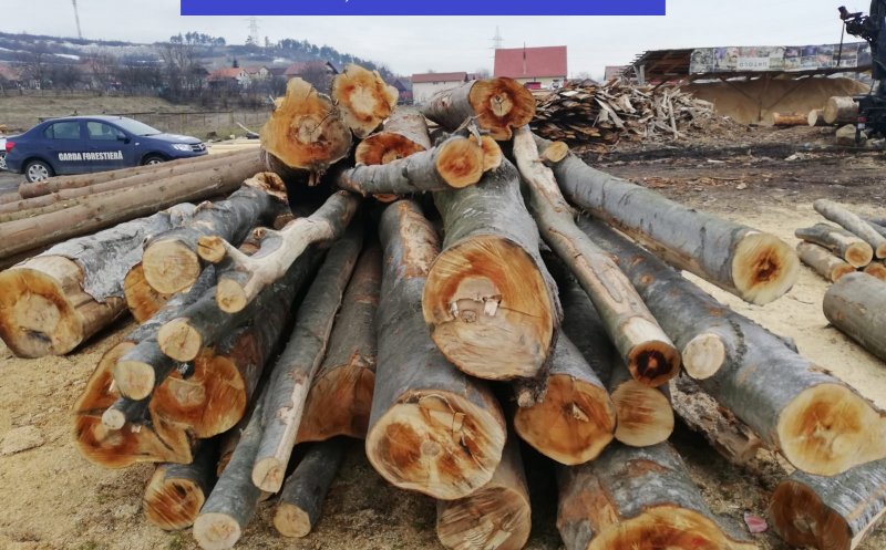 Amenzi de zeci de mii de lei pentru nereguli la vânzarea lemnelor