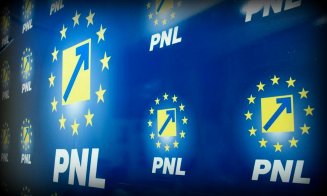 PNL şi-a desemnat candidaţii la europarlamentare. Un clujean pe listă