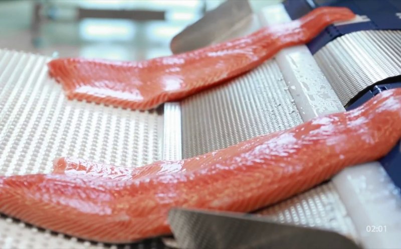 O nouă ALERTĂ alimentară! Listeria, depistată la două unităţi de procesare a peştelui