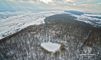 Alertă în Hoia. Poiana cunoscută pentru „fenomene paranormale”, pusă la pământ