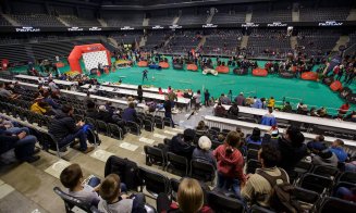 Câini poliţişti în acţiune, blănoşi la expoziţie şi urechiaţi agili pe trasee sportive. Napoca Dog Show