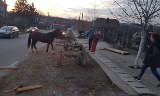 Beat şi fără permis! A spulberat o căruţă