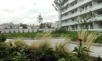 Parcuri şi grădini deasupra Clujului. Panorama inedită de acasă