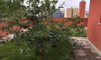 Parcuri şi grădini deasupra Clujului. Panorama inedită de acasă